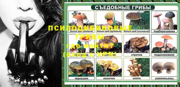 прущие грибы Алексин