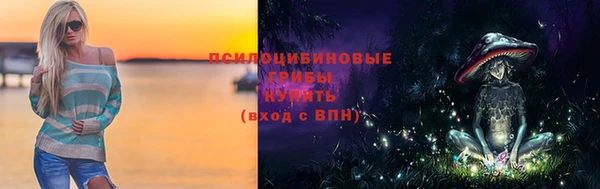 стаф Алексеевка