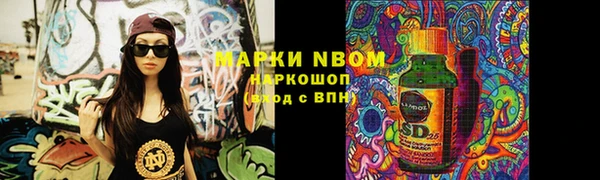 прущие грибы Алексин